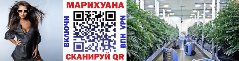 Купить наркотики Высоцк Бутират  ОМГ ОМГ ТОР  СК  ГАШ  Мефедрон  COCAIN  Конопля 